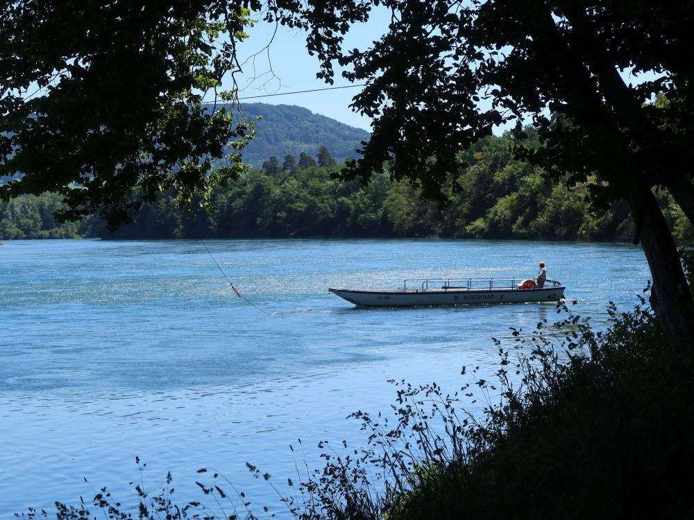 Rheinfähre Rüedifaar