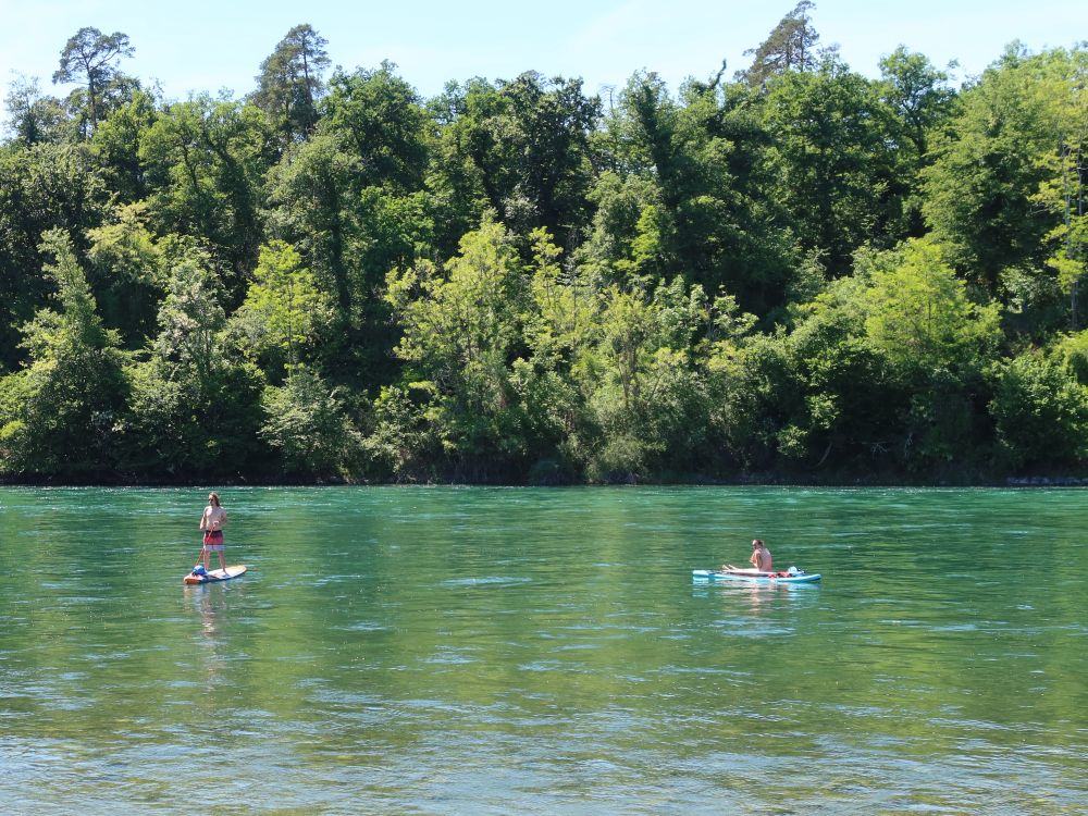 Standup-Paddler