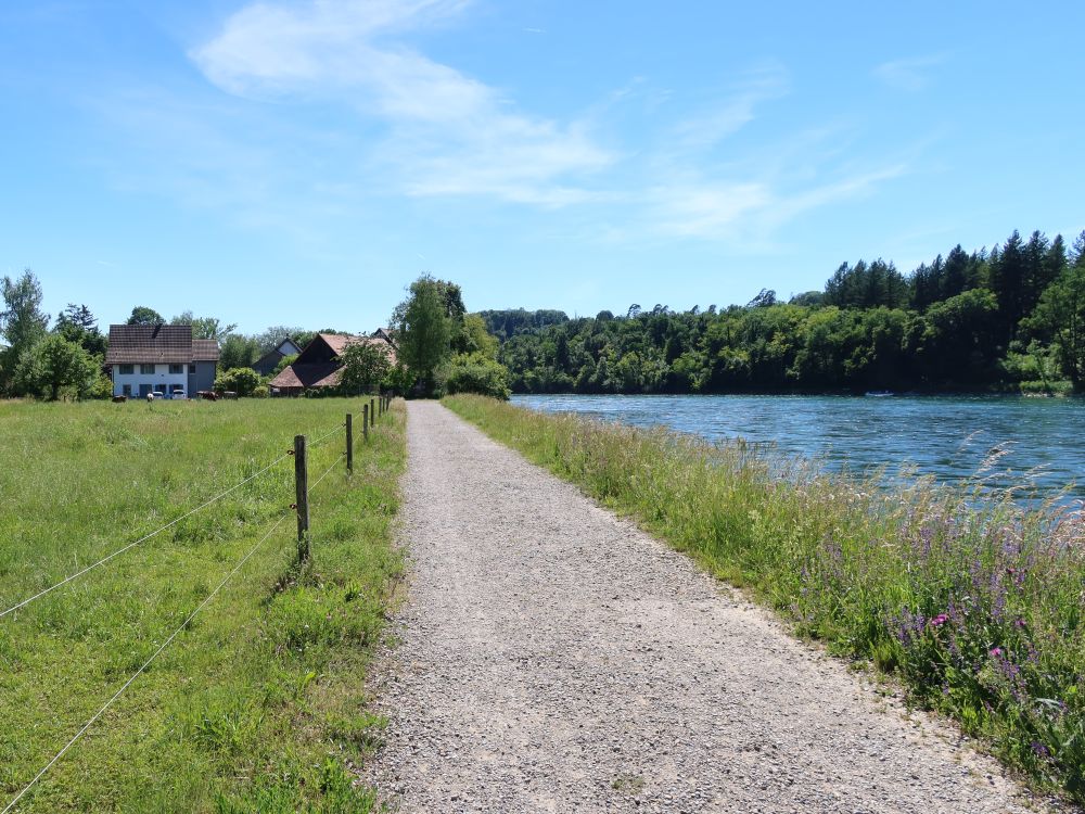 Uferweg bei Ellikon