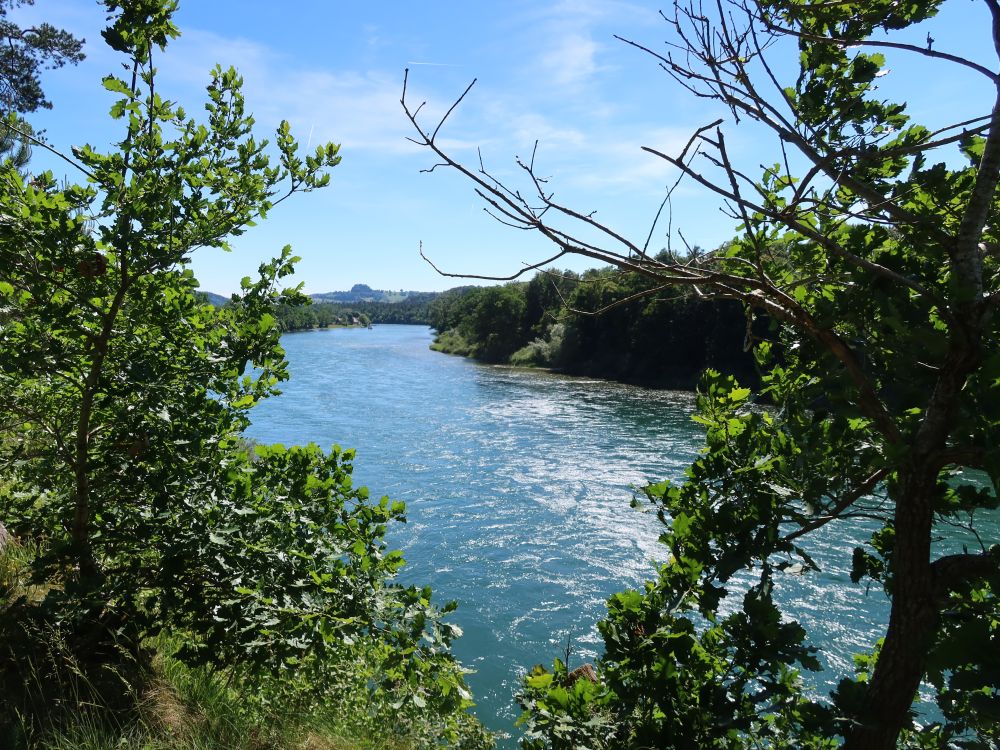 Blick auf den Rhein