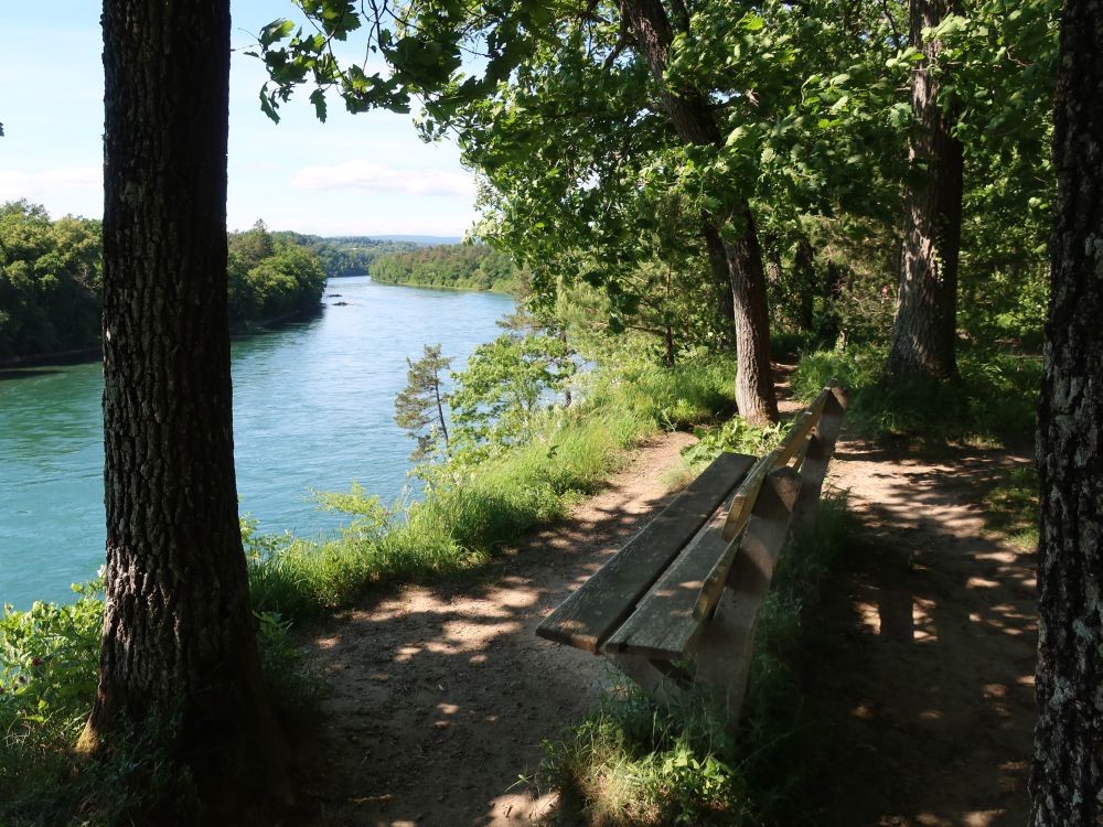 Sitzbank am Rheinuferweg