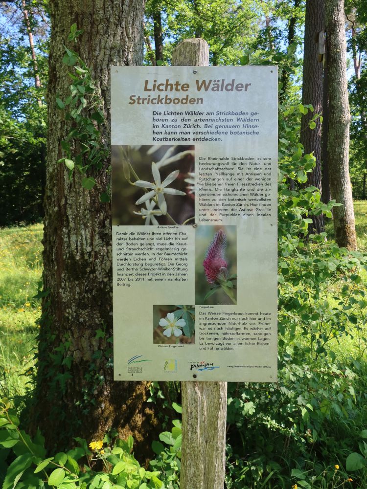 Infotafel