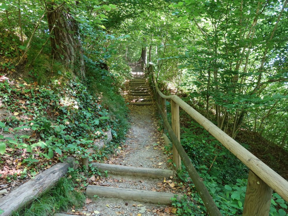 Treppe im Stadtgraben