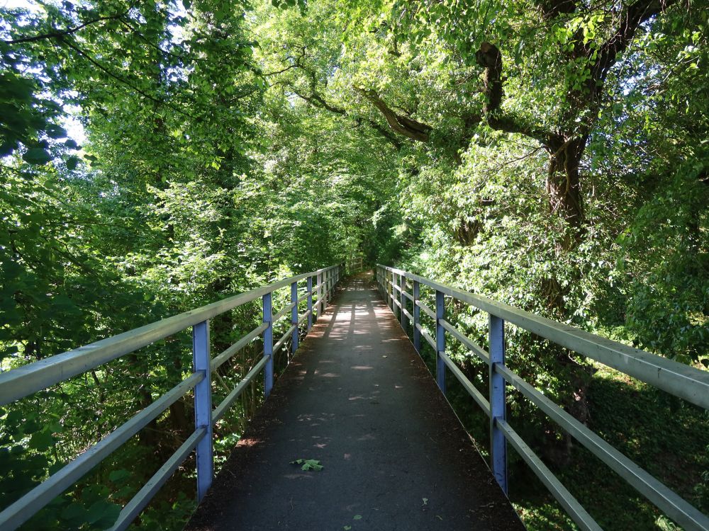 Steg im Stadtgraben Rheinau