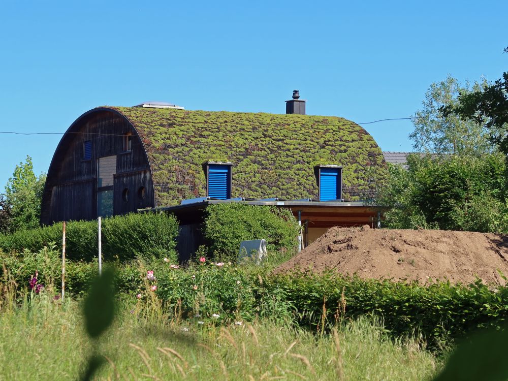 Haus mit grasbedecktem Dach