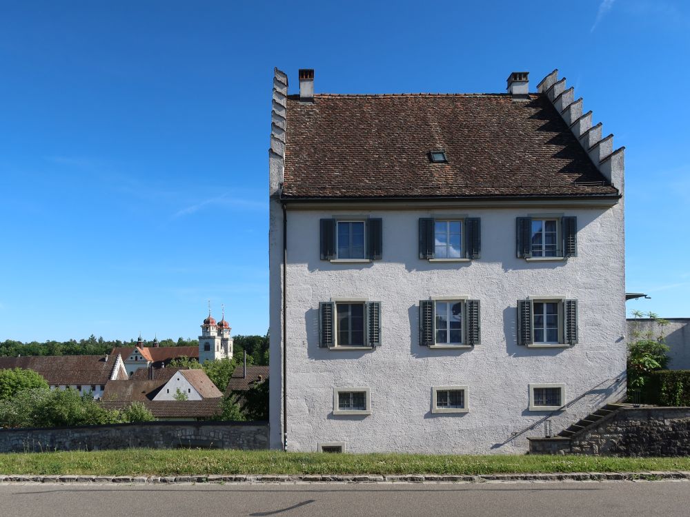 Haus in Rheinau
