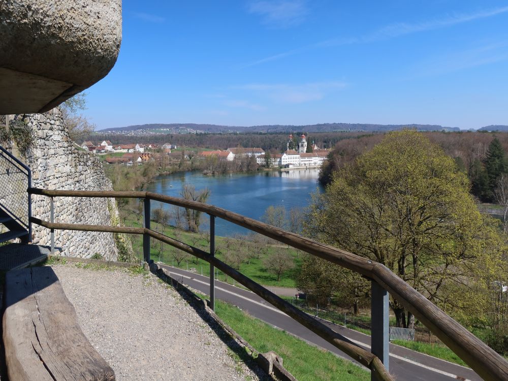 Blick zum Kloster Rheinau