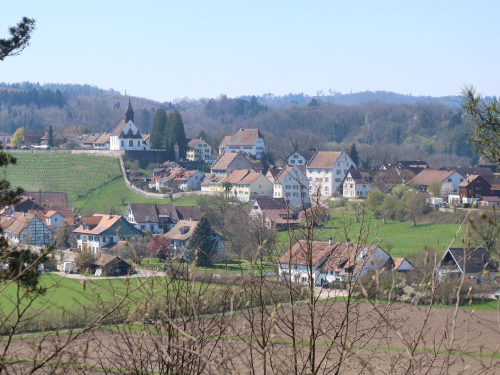 Bergkirche über Rheinau