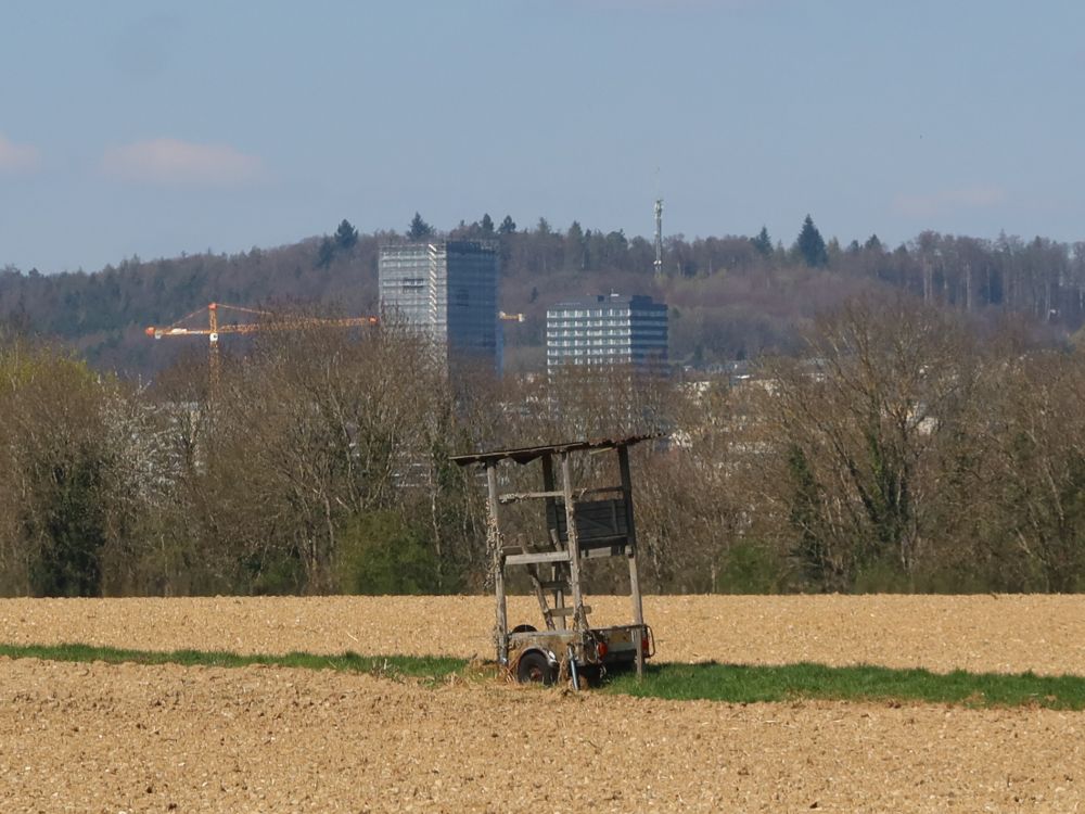 Hochhäuser in Neuhausen