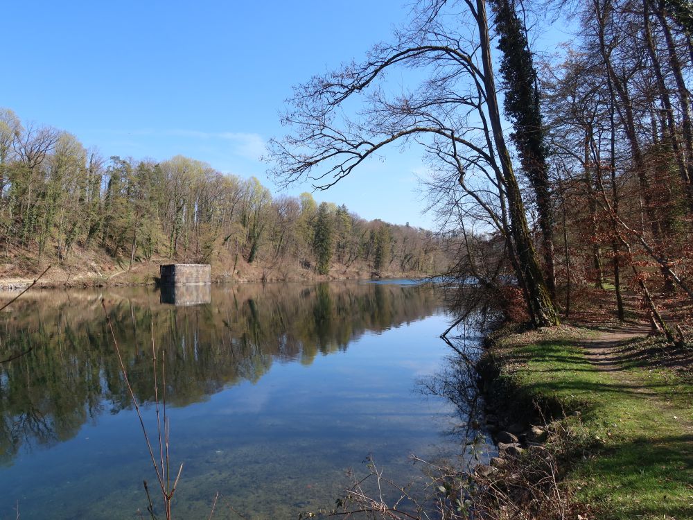 Rhein bei Geißhalde