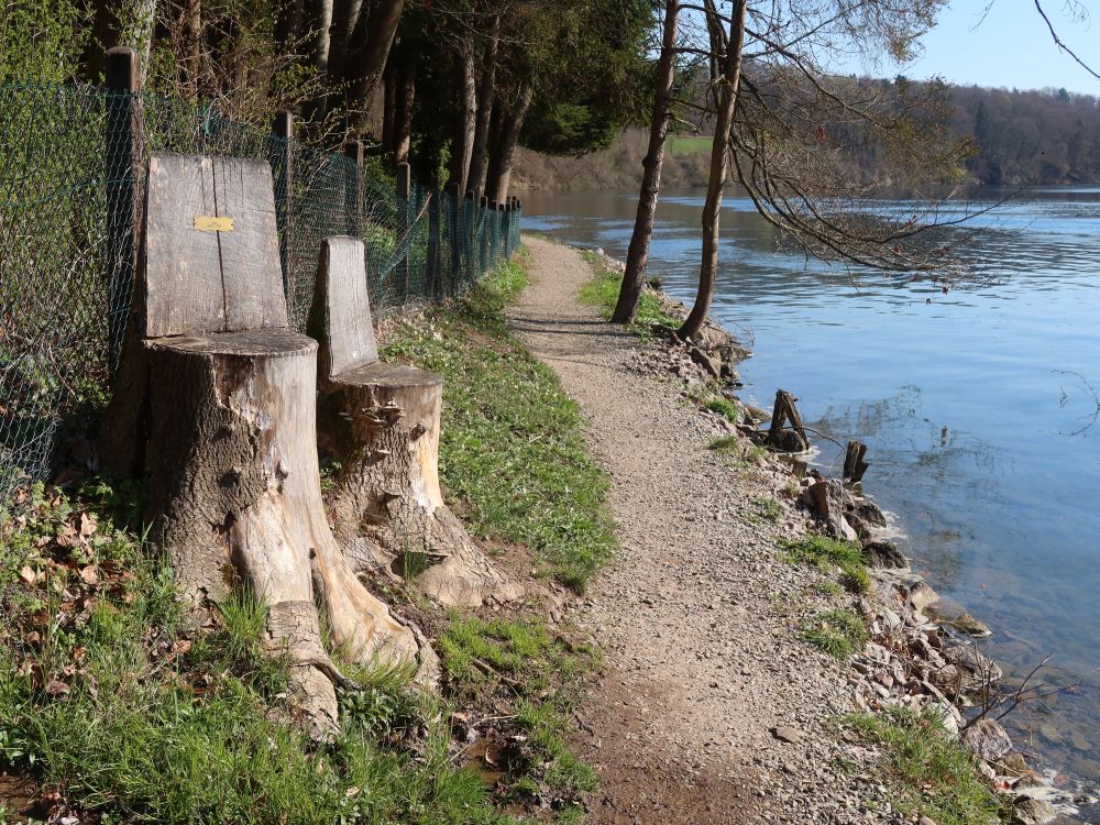 Sitze aus Baumstümpfel