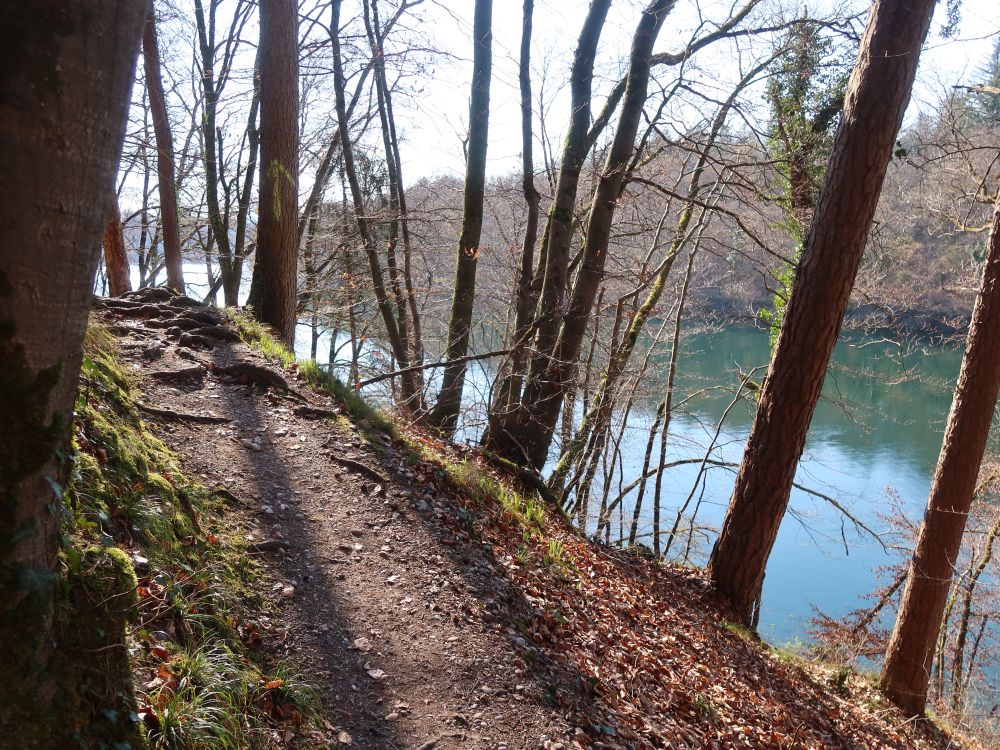 Pfad überm Rhein