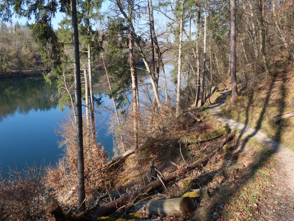 Pfad überm Rhein