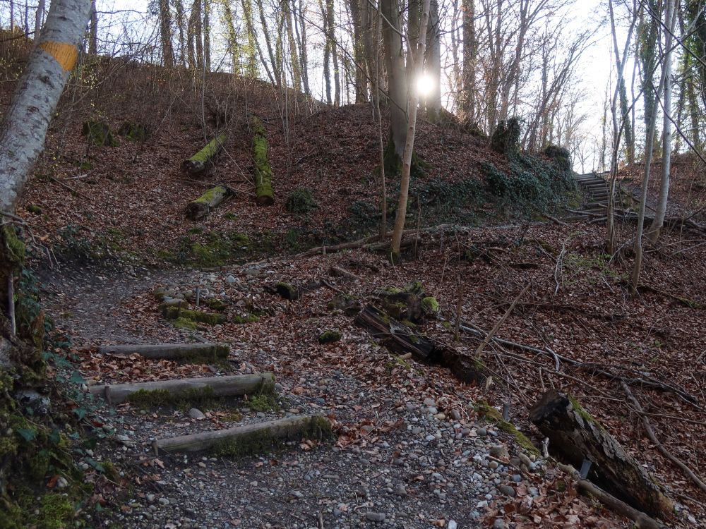 Treppe und Gegenlicht