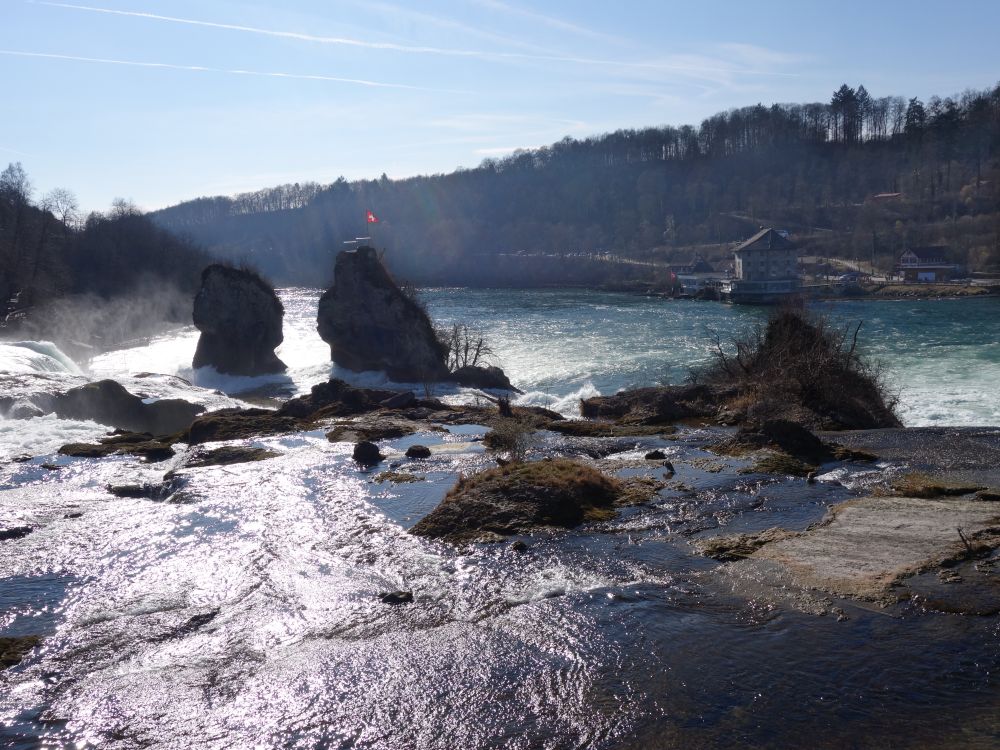 Felsen im Rheinfall und Burg Wrth
