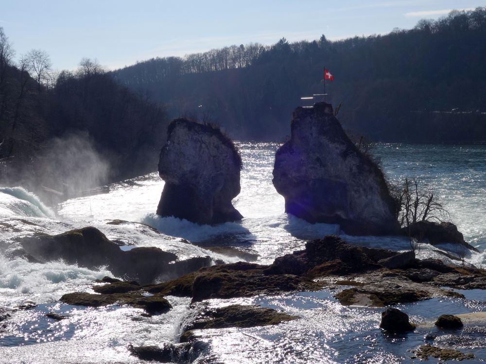 Felsen im Rheinfall