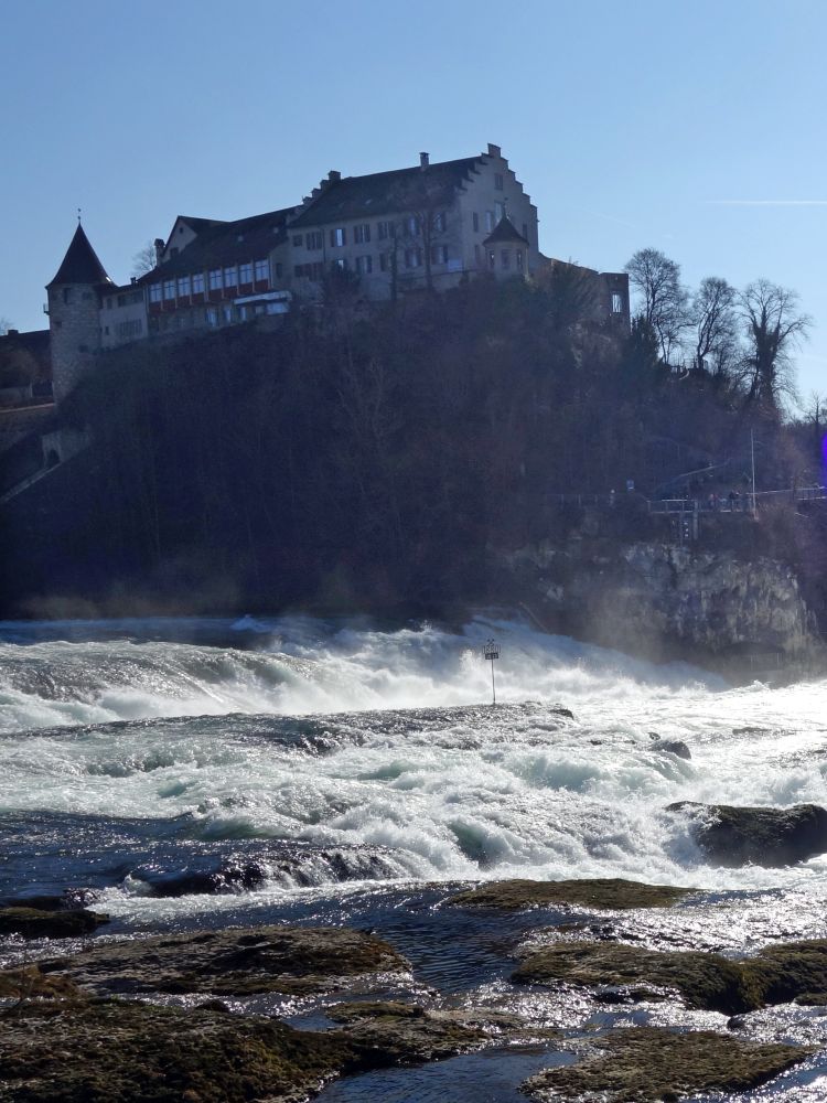 Schloss Laufen