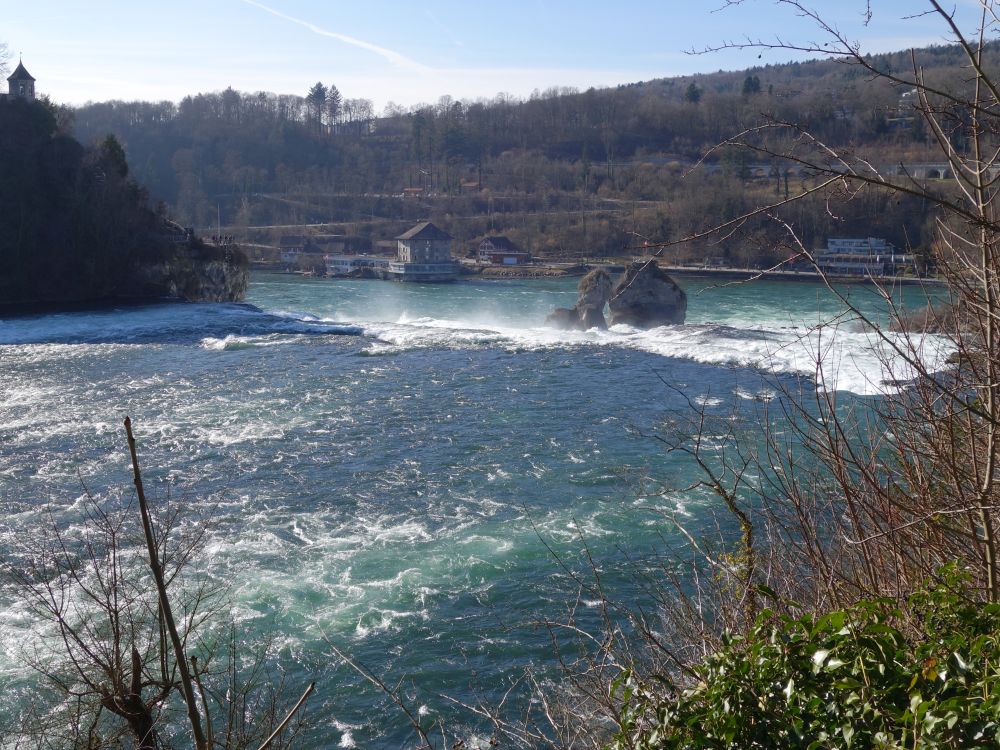 Felsen im Rheinfall und Burg Wrth