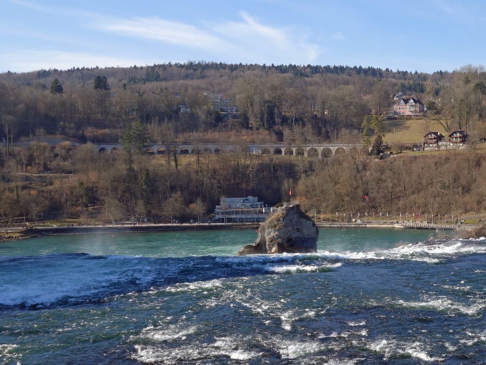 Felsen im Rheinfall