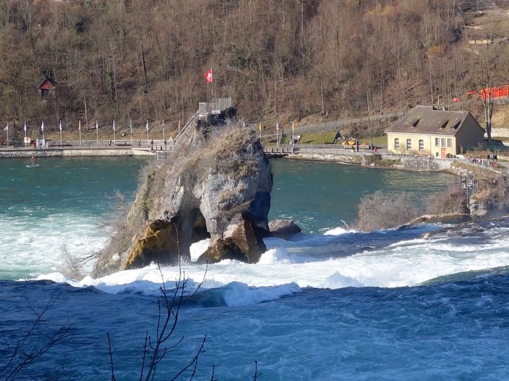 Felsen im Rheinfall