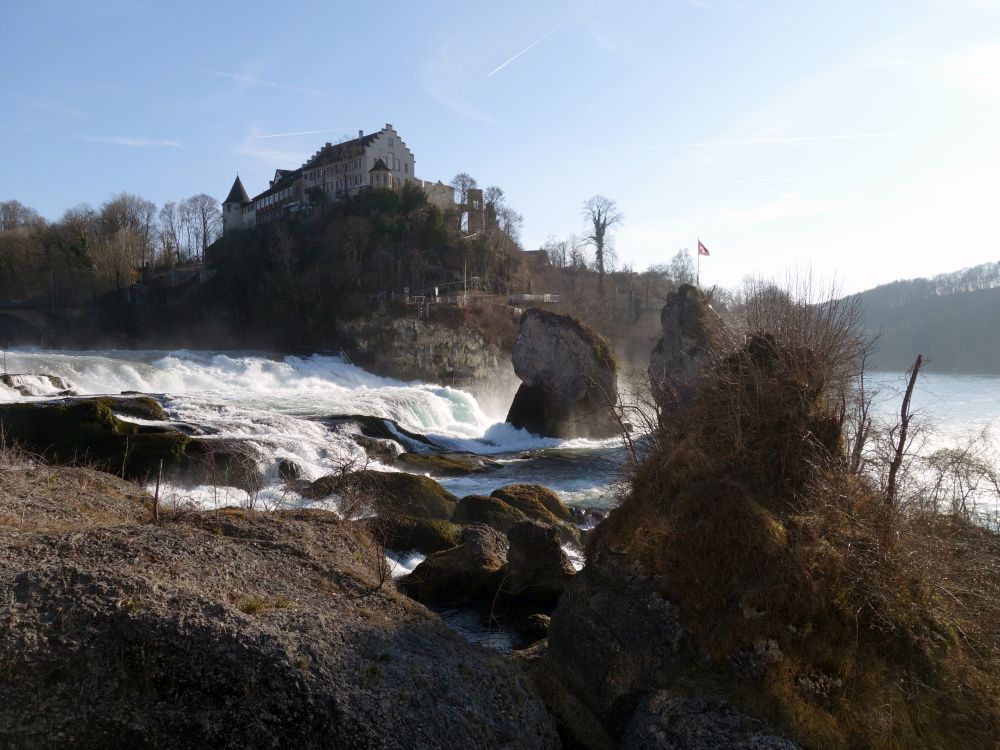 Schloss Laufen und Felsen im Rheinfall