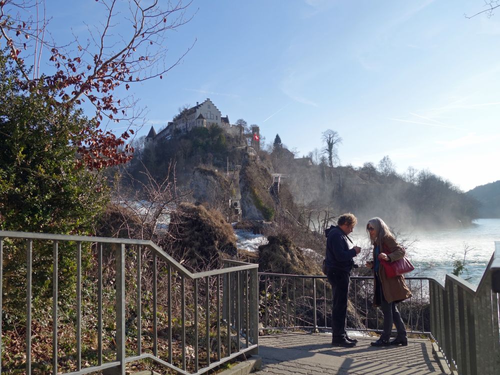 Schloss Laufen und Felsen im Rheinfall