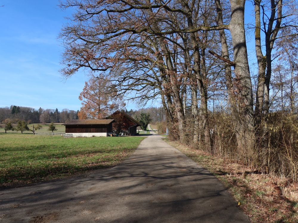 Bauernhof Sepling