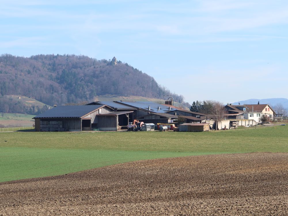 Oberer Schlatthof und Burg Hohenklingen