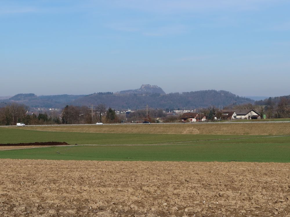 Blick Richtung Hohentwiel
