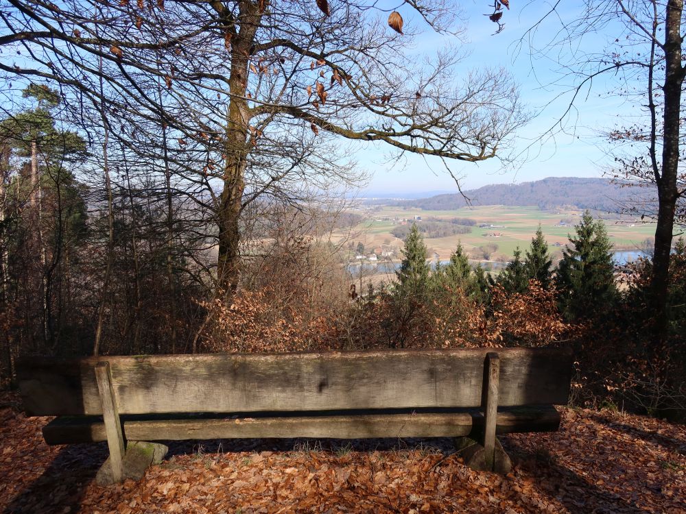 Sitzbank mit Rheinblick