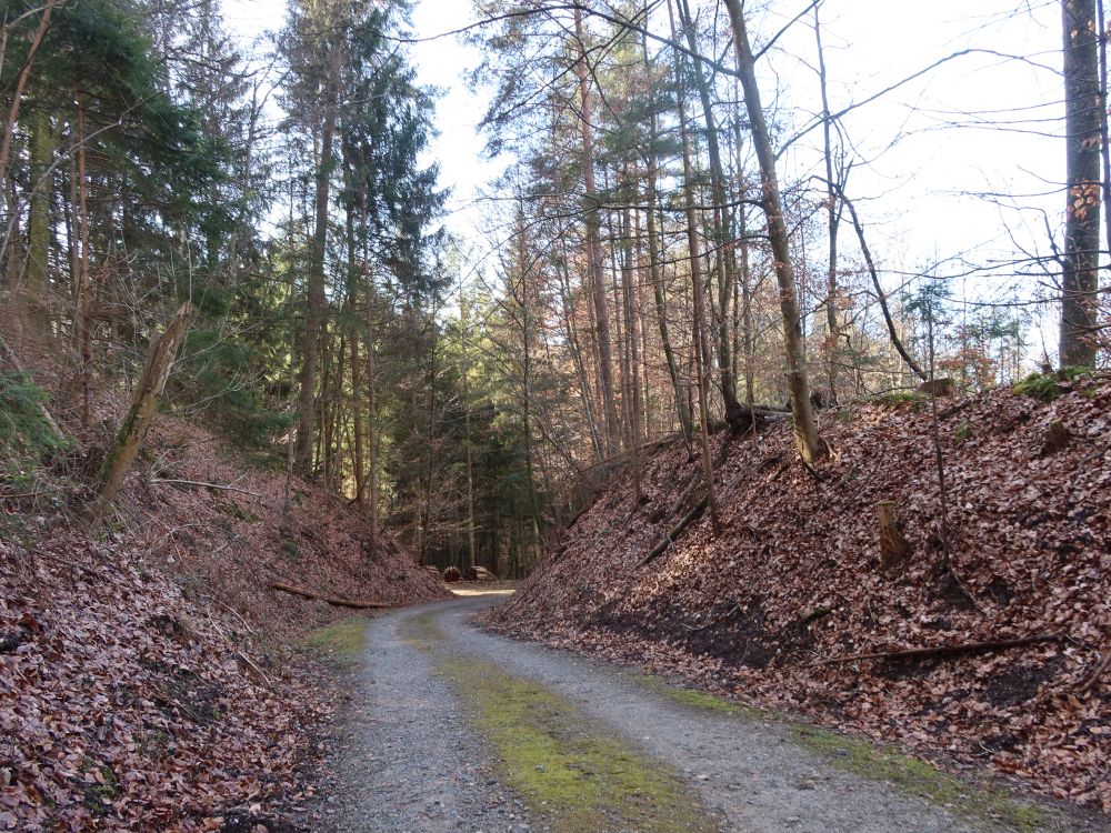 Waldweg