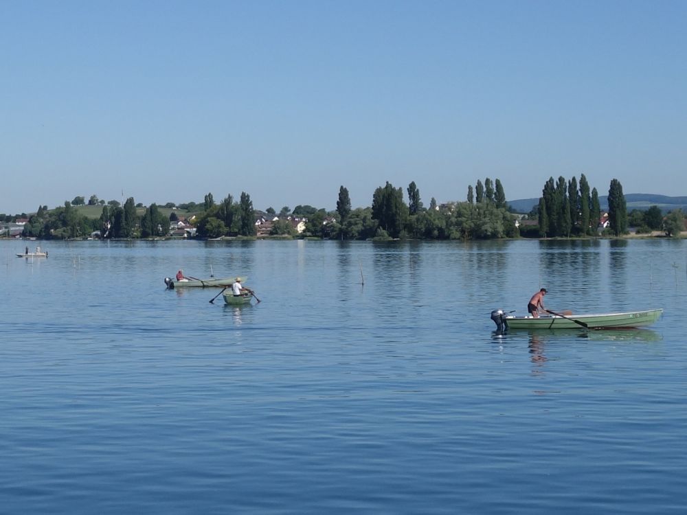 Reichenau und Fischer