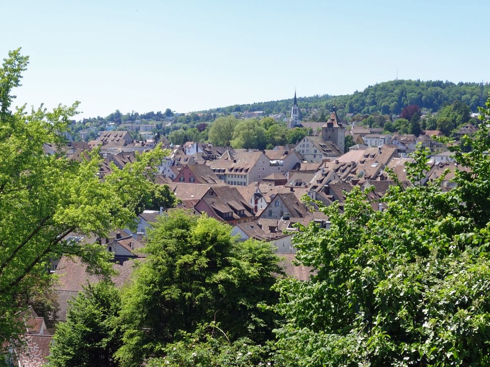 Schaffhausen