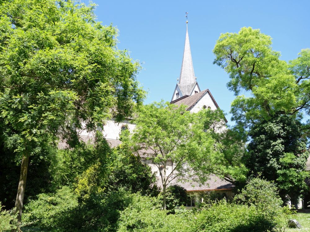 Münster