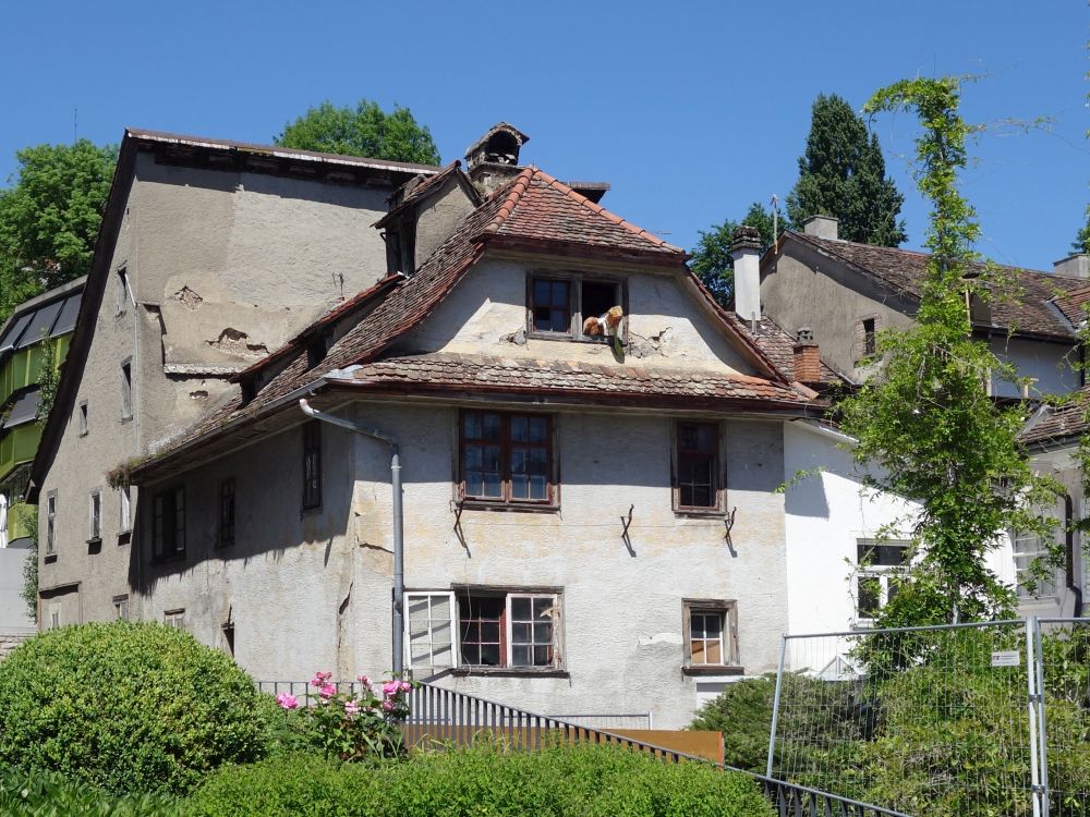 altes Haus in Schaffhausen