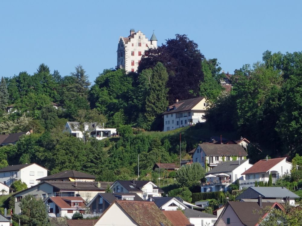 Schloss Hinterburg
