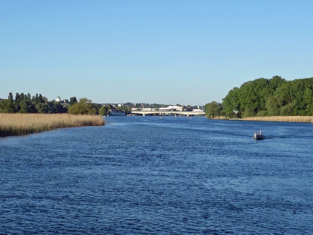 Blick zur neuen Rheinbrcke