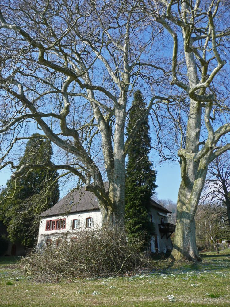 Schloss Klattenhorn