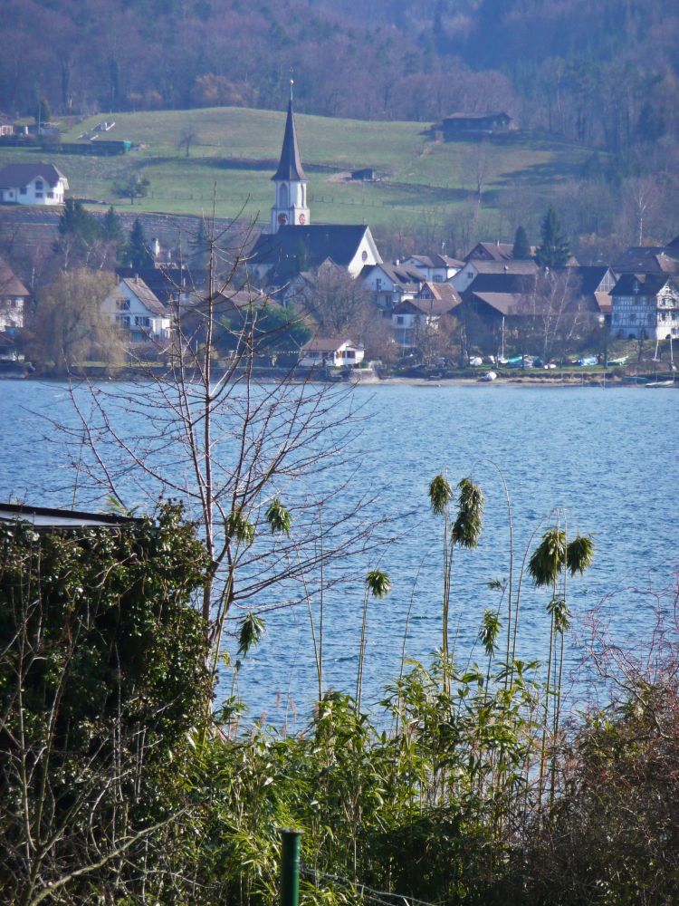 Blick bern Rhein