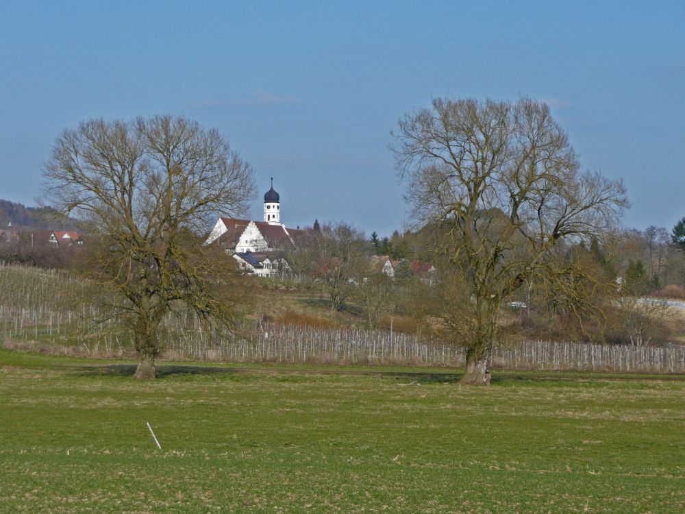 Kirche hningen