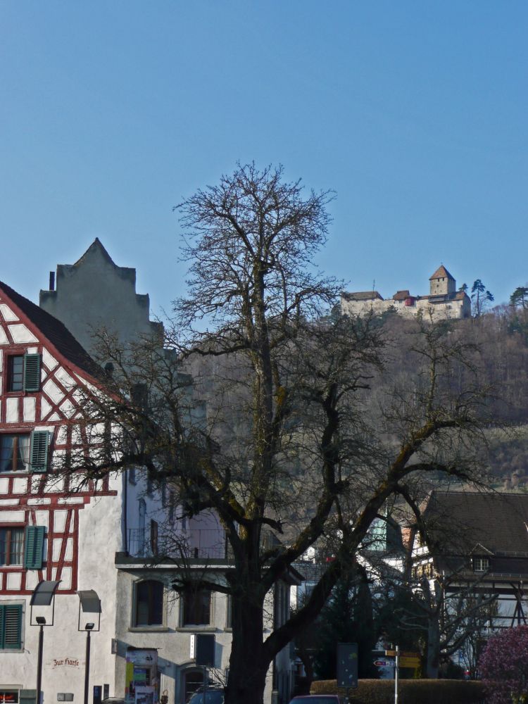 Burg Hohenklingen ber Stein am Rhein