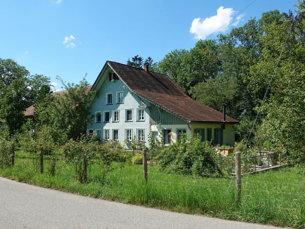 Haus bei Engi