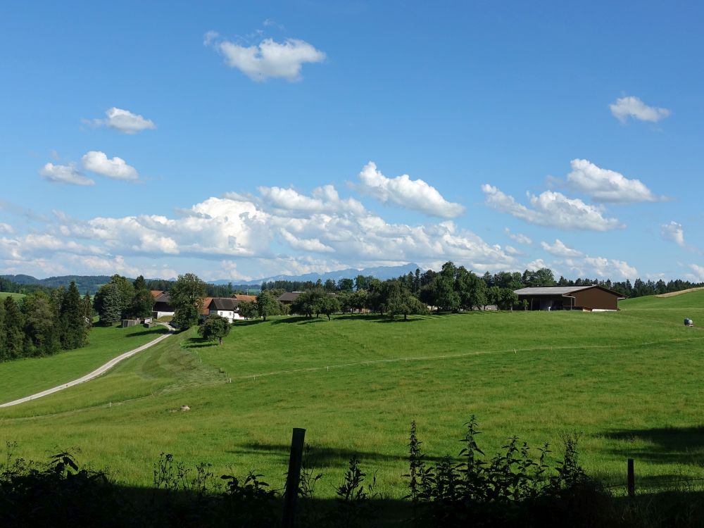 Oberbruberg mit Säntis