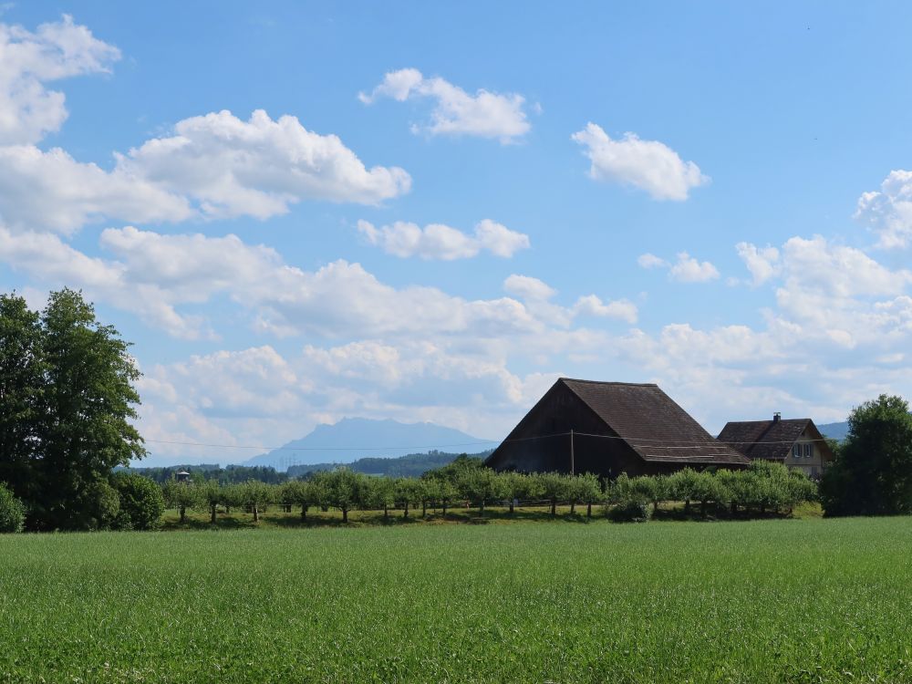 Pilatus im Dunst