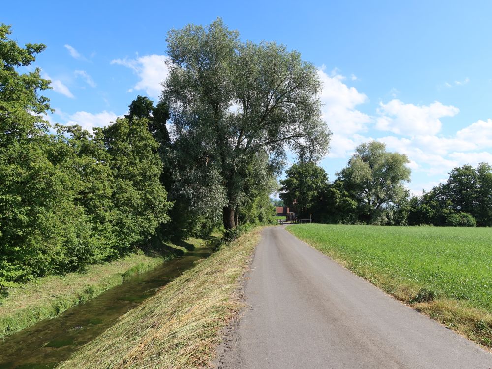 Sandweidstrasse am Reusskanal