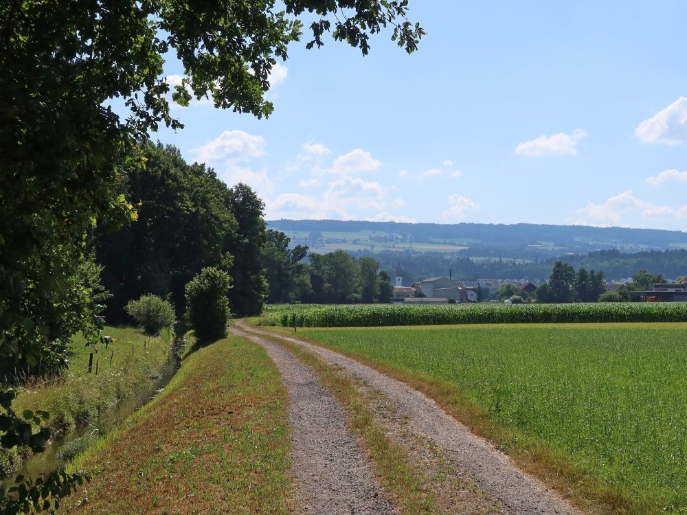 Weg bei Möösli