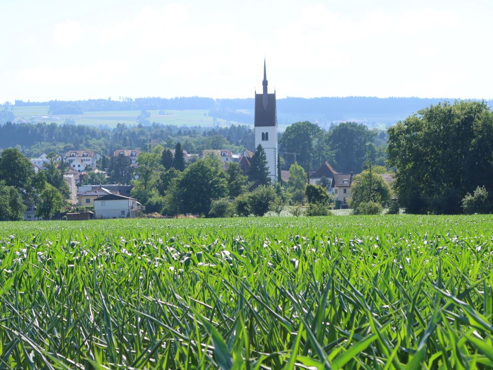 Kirchturm Merenschwand