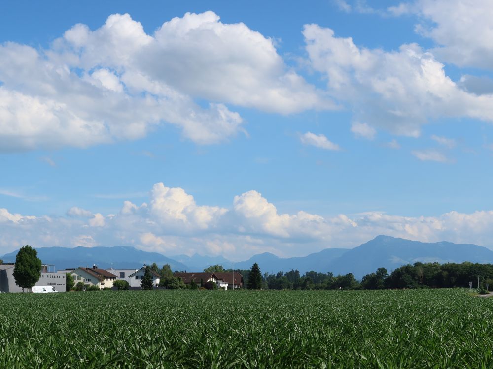 Wildspitz, Gross Windgällen, Rigi, u.a.