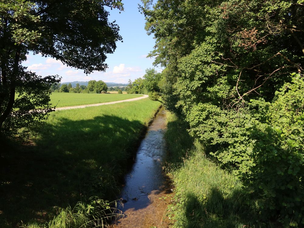 Wissenbach