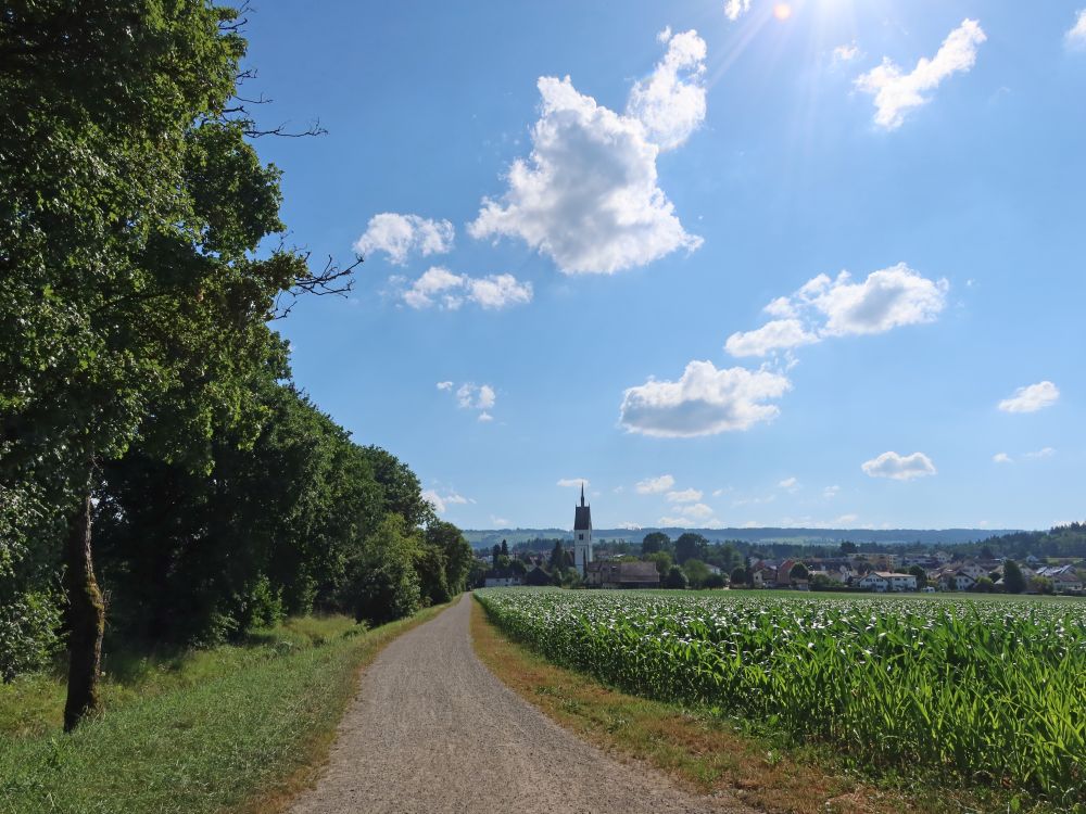 Blick Richtung Merenschwand